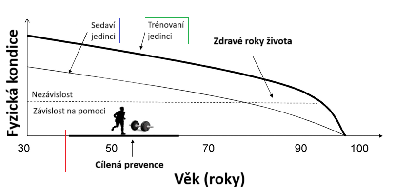 Upraveno podle Strasser et Burtscher (2018).